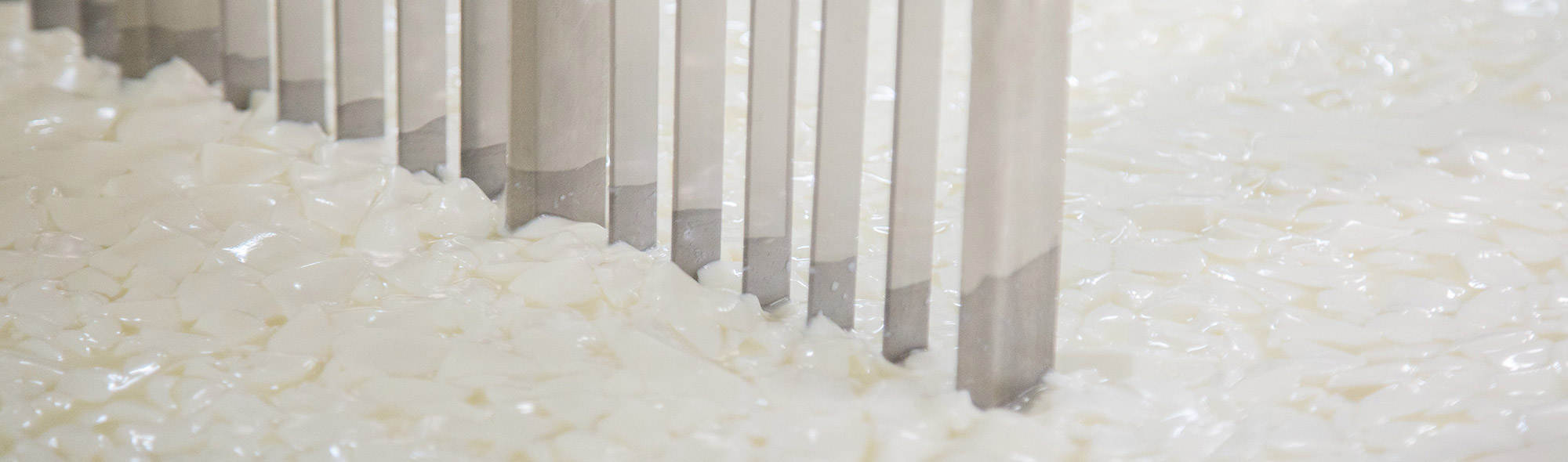 Ask the Cheesemaker